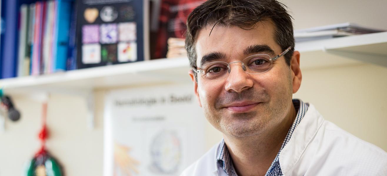 Prof. Arnon Kater