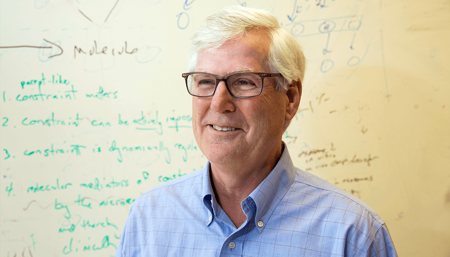 Prof. David Scadden