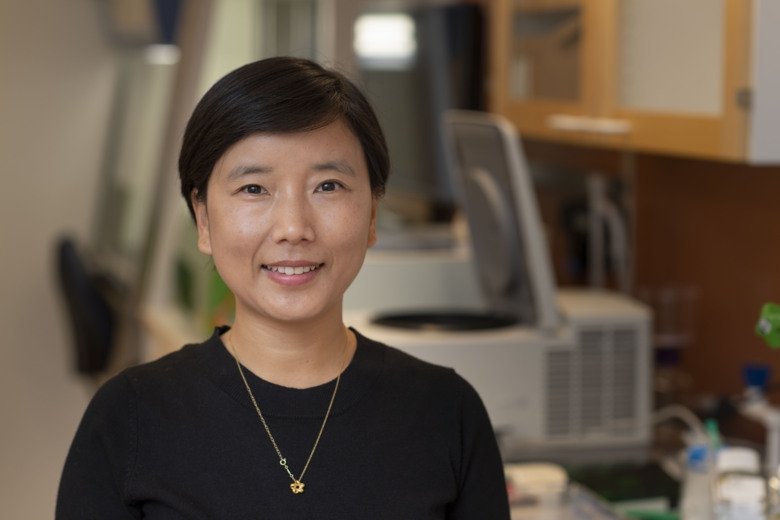 Prof. Fang Fang