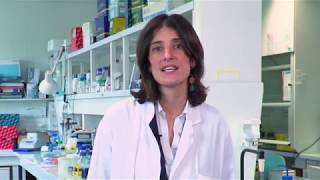 Dr. Ines Vaz-Luis