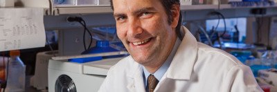 Dr. Ingo Mellinghoff