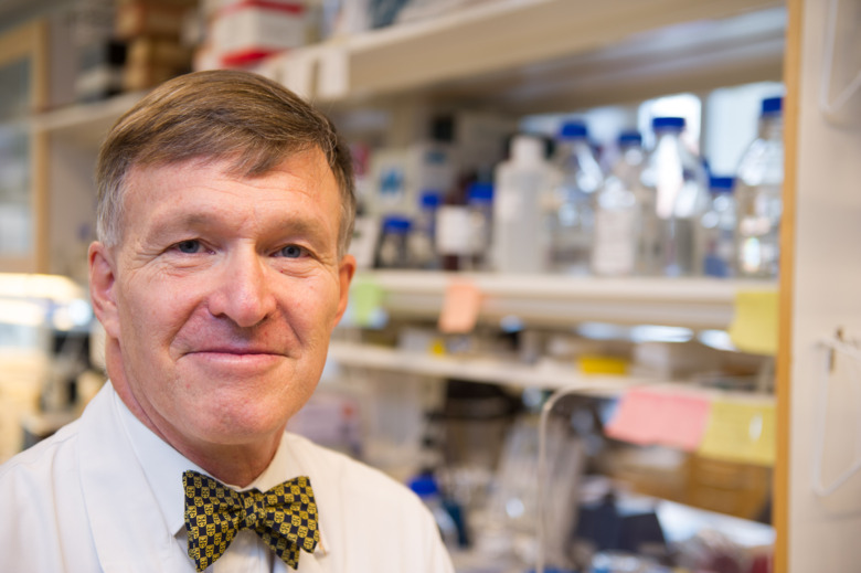Prof. Jonas Bergh